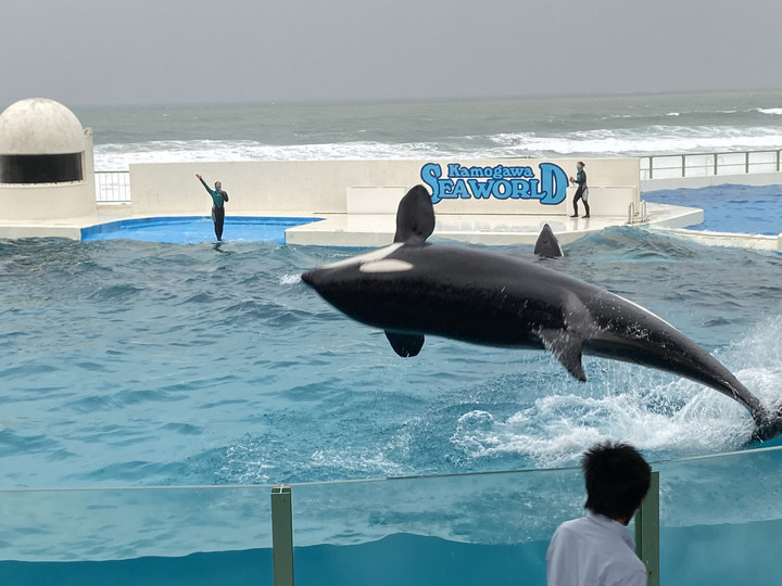 E8adb2b864824920892e99070adab5d1