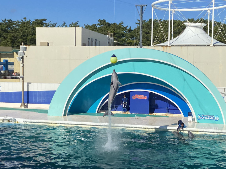 A37e6b732d0c4fe383e9e6e6bae03567