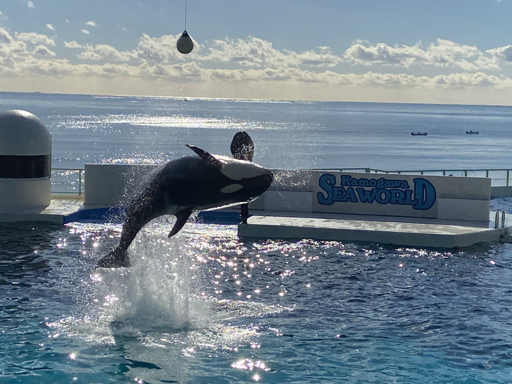 C14f5992c2d2424f890d8f99d03a17d6