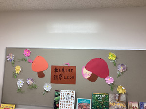 Img_0201 Img_0201