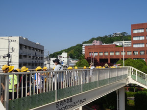 Dsc09207_3