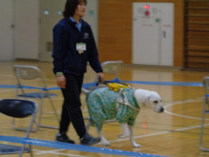 Dsc03275