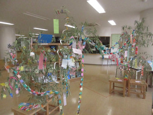 Img_7240 Img_7240